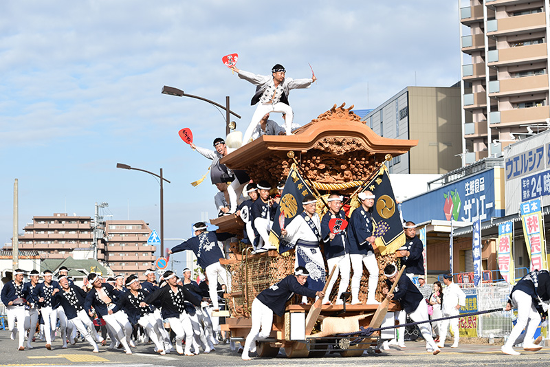 岸和田のだんじり祭 へんぽらいの祭り談義